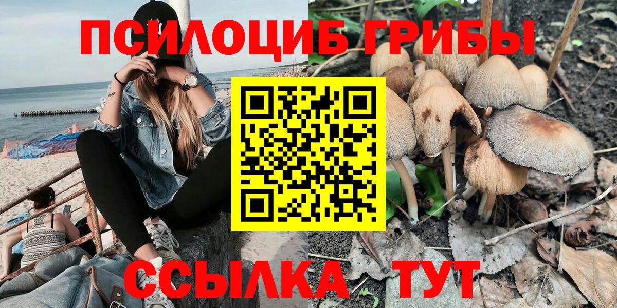 Богородицк  Галлюциногенные грибы мухоморы  Псилоцибиновые грибы мухоморы  Вход с VPN 