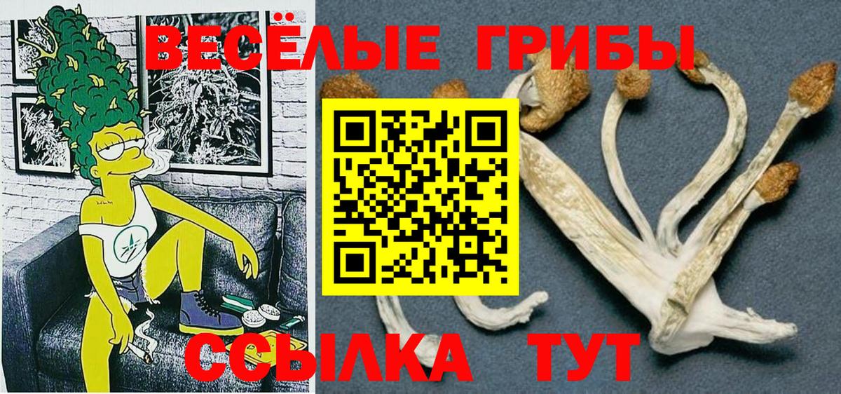 Псилоцибиновые грибы мицелий Богородицк